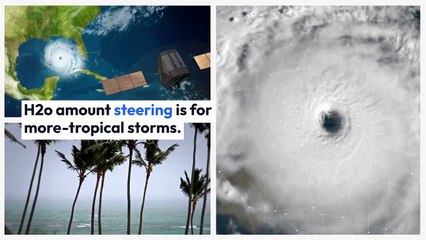 Complete Guide to Jacksonville Weather 🌞