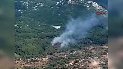 Feu de forêt à Milas, Muğla