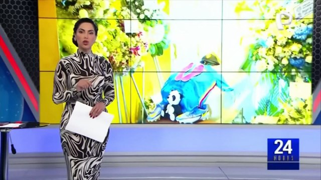 San Martín de Porres: caen presuntos asesinos de adolescente en bus