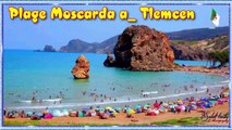 Plage Moscarda _ Tlemcen  ⛱⛱ شاطئ موسكاردة _ تلمسان
