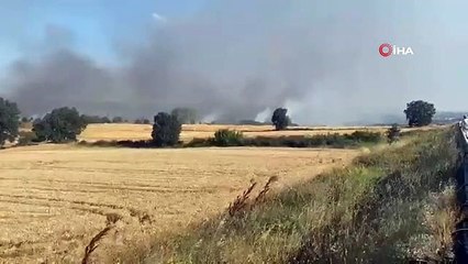 Keşan'da tarlada çıkan yangında 2 bin dönüme yakın arazi zarar gördü