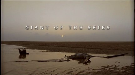 Walking With Dinosaurs - Ep 4 Giant of the Skies (1999) [576p]