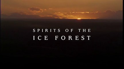 Walking With Dinosaurs - Ep 5 Spirits of the Ice Forest (1999) [576p]