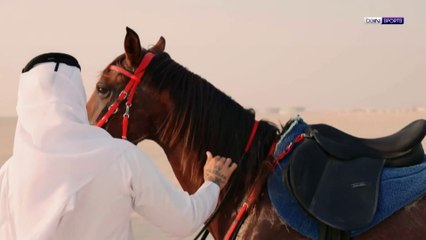 أم صلال القطري يضم الجزائري آندي دولور