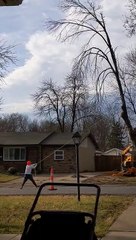 Une branche d'arbre abattue frappe la maison