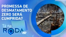 Defesa da AMAZÔNIA? Desmatamento e incêndios em florestas AUMENTAM com Lula | TÁ NA RODA