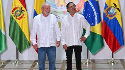 “Lo que ha faltado para rescatar la Amazonía es la cooperación entre gobiernos”: especialista en criminología verde