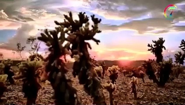 ਆਰਤੀ ਸਰਵਣ ਕਰੋ ਵੀਰ ਬਿਕਰਮ ਜੀਤ ਸਿੰਘ ਜੀ ਦੀ ਅਵਾਜ ਵਿੱਚ ਸੰਗਤ ਜੀ ਸੇਅਰ ਜਰੂਰ ਕਰੋ ਜੀ ਹੋਰ ਗੁਰਬਾਣੀ ਸਰਵਣ ਕਰੋ