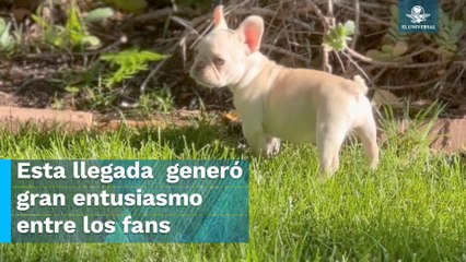 Conoce al nuevo integrante de la familia del Puma Rodríguez