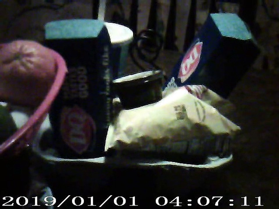 Dairy Queen (Treat) Beaver Dam, WI 2021