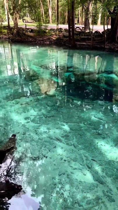 Florida, Camping,  hidden spots