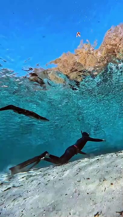 Florida, Diving