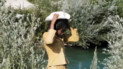 Black Tigress ｜ Lola Falana ｜ SPAGHETTI WESTERN ｜ Action Movie ｜ Old West