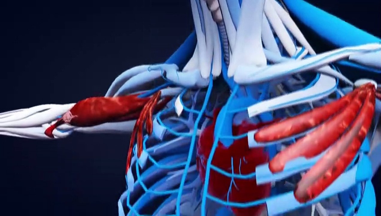 DAS PASSIERT MIT DEINEM KÖRPER NACHDEM DU STIRBST!