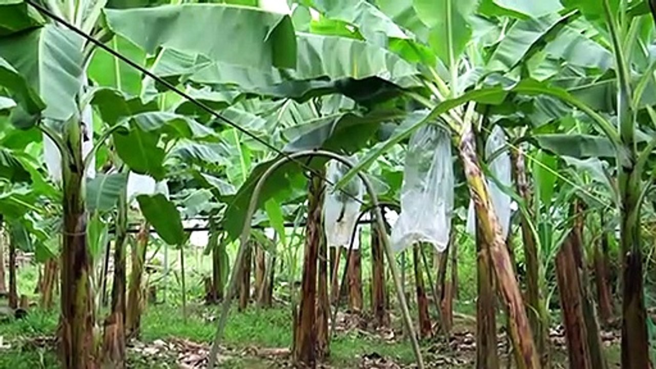 Was Würde Passieren Wenn Die Erde Plötzlich Doppelt So Groß Wäre