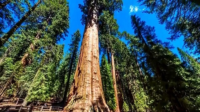 20 Dinge Die Viel Größer Sind Als Du Gedacht Hast!