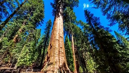 20 Dinge Die Viel Größer Sind Als Du Gedacht Hast!