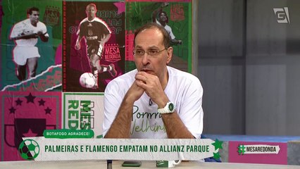 Domenico Gatto fala sobre a atual situação do Palmeiras