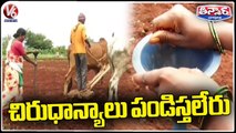 Farmers Not Farming Millets Due To Low Price | V6 Weekend Teenmaar