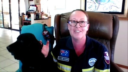 Queensland rescue dogs being taught to abseil down towers