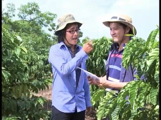 Giải mã tình anh - Tập 30 (Phim bộ Việt Nam)