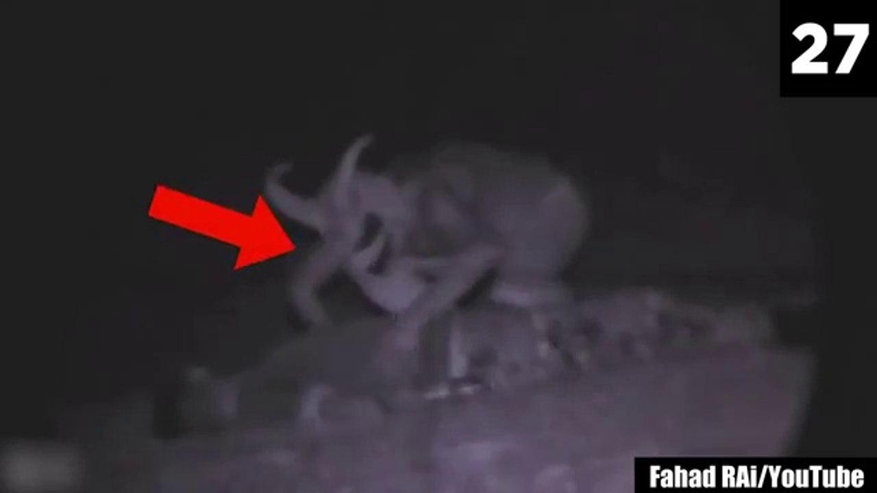 30 Scary Videos NOT For Bedtime