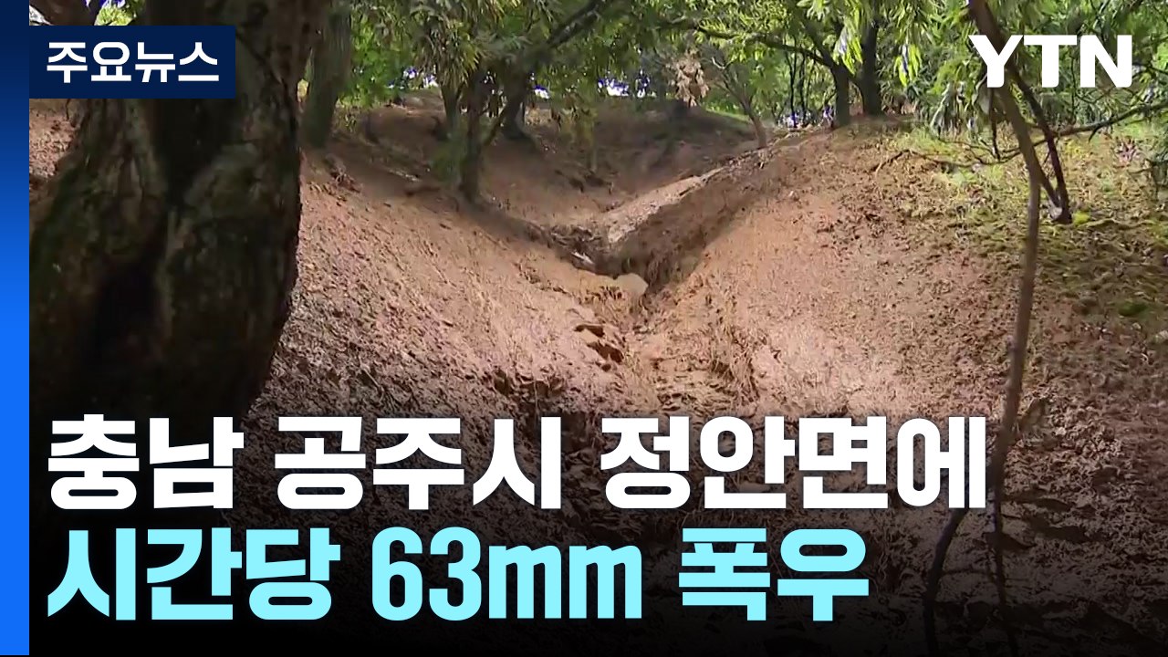 충남 공주·세종에 시간당 60mm 폭우...피해 잇따라 / YTN