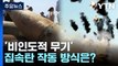 집속탄 1발이면 축구장 4개 초토화...어떤 무기이길래? [앵커리포트] / YTN