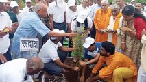 Video Story: See where 10,000 saplings were planted on the barren hill