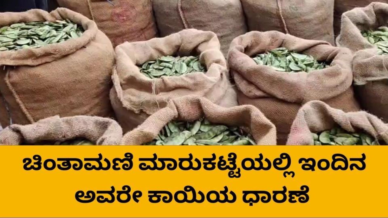 ಮಾರುಕಟ್ಟೆಯಲ್ಲಿ ಅವರೆಕಾಯಿ ಧಾರಣೆ ಹೀಗಿದೆ ನೋಡಿ