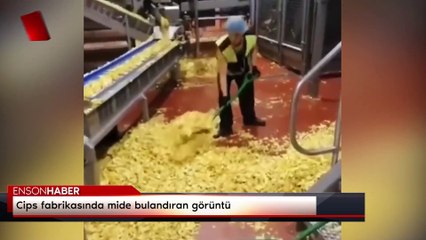 Cips fabrikasında mide bulandıran görüntü