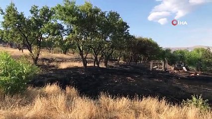 Elazığ'daki bahçe yangınında 10 dönüm alan zarar gördü