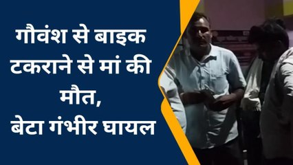सीतापुर:रेउसा क्षेत्र में घुमंतू गौवंश से बाइक टकराने से मां की मौत, बेटा गंभीर रूप से घायल