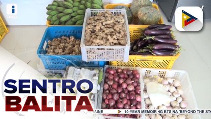 Pagkakaroon ng backyard garden ng mga bahay sa Caraga, isinusulong;