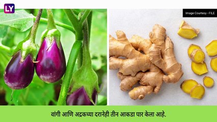 Vegetable Price Hike: पावसामुळे भाज्यांचे भाव 30 ते 40 टक्क्यांनी वाढले, दरानेही शंभरी केली पार