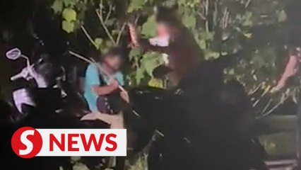 Three held for bludgeoning dog to death