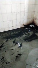 एसएमएस के रेडियोथैरेपी वार्ड में पानी भरा