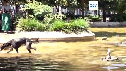 Europa em alerta com vaga de calor