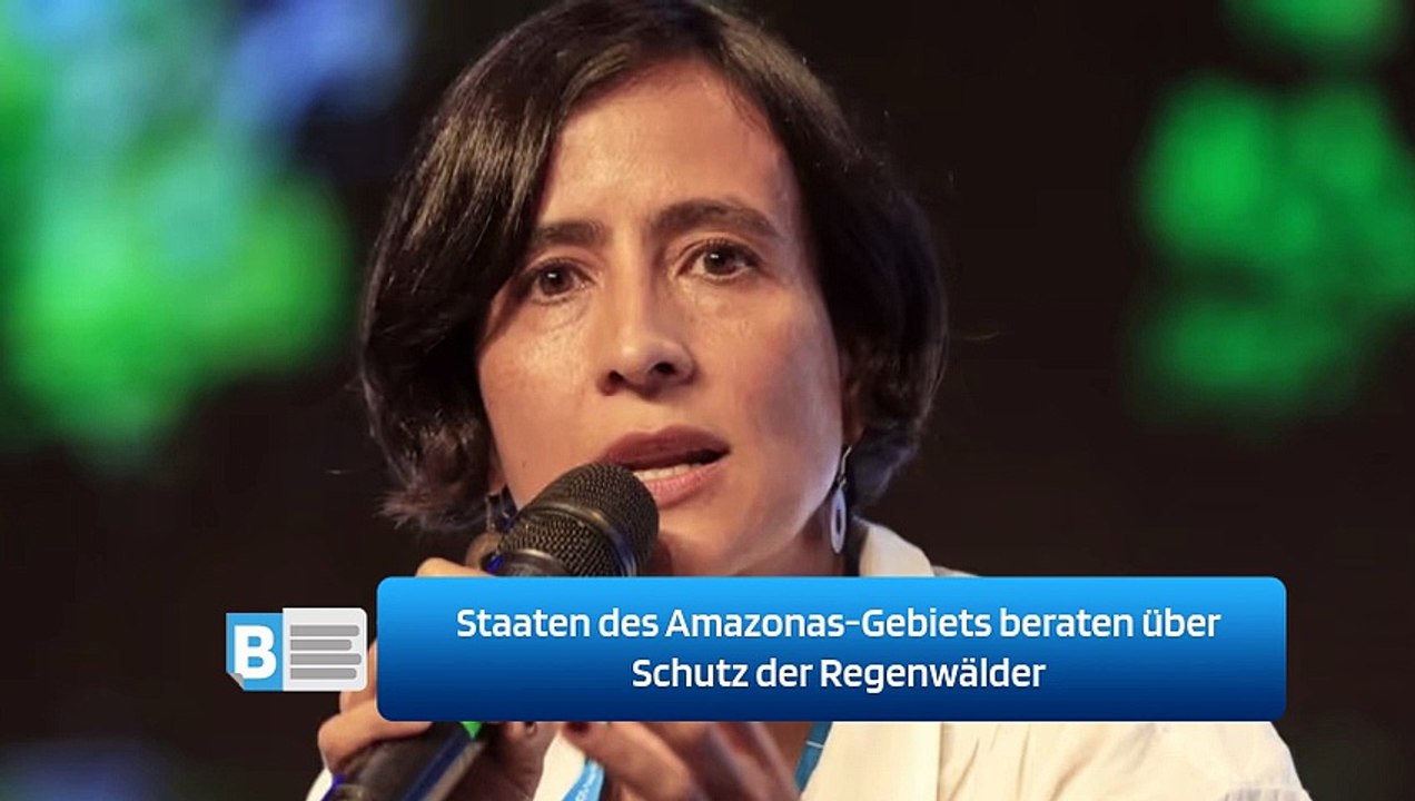 Staaten des Amazonas-Gebiets beraten über Schutz der Regenwälder