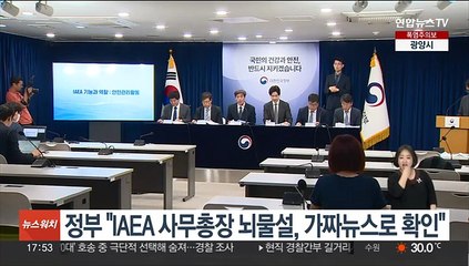 정부 "IAEA 사무총장 뇌물설, 가짜뉴스로 확인"