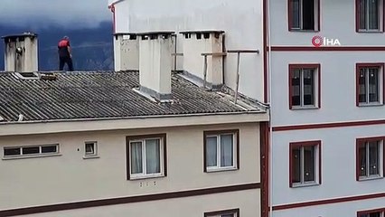 Artvin'de çatıda mahsur kalan anne köpeği itfaiye ekipleri kurtardı