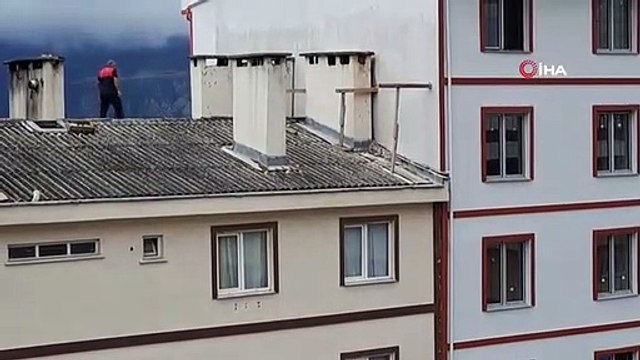 Artvin'de çatıda mahsur kalan anne köpeği itfaiye ekipleri kurtardı