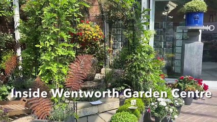 Inside Wentworth Garden Centre: Yorkshire's best garden centres