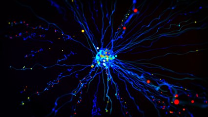 8D MuSic | Orchestra muSic | Copyright Free MuSic (6)