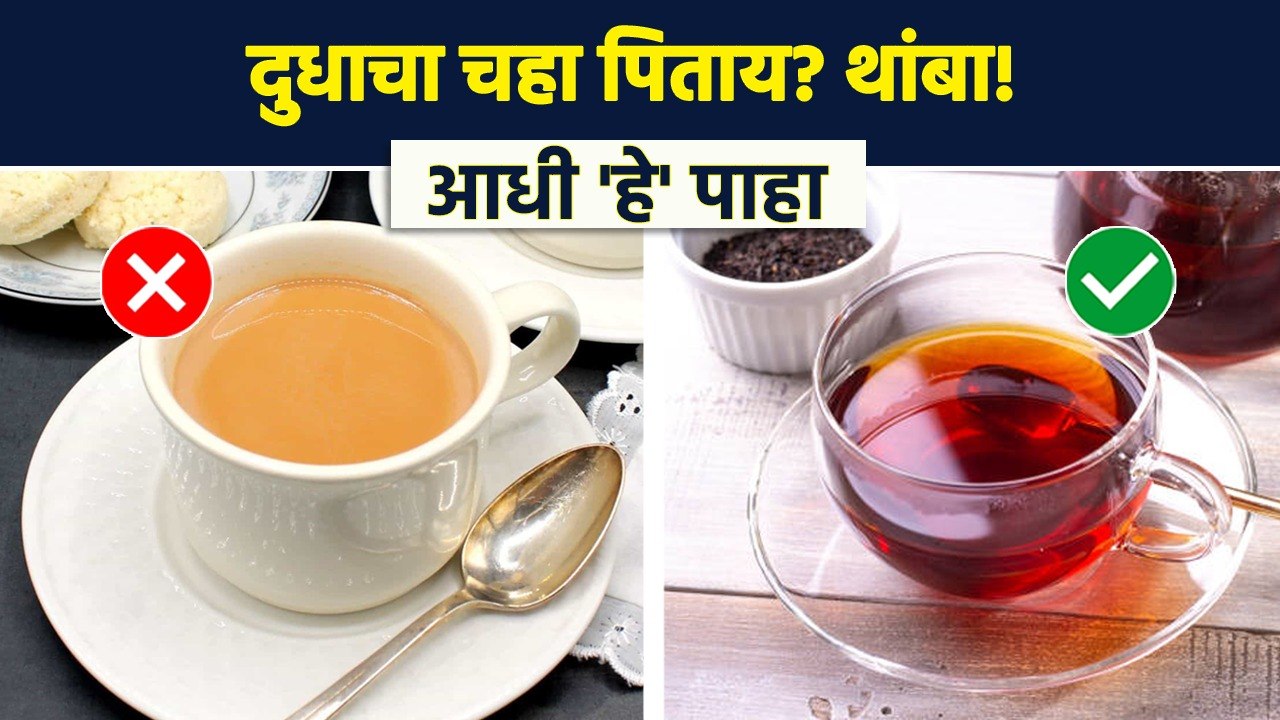 तुम्ही पण दुधाचा चहा पिता का?  |  Benefits Of Drinking Black Tea | Health Tip | AI2