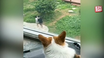 Sevgilisi ile kavga eden kadına sopa götüren köpek