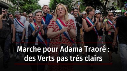 Marche pour Adama Traoré : des Verts pas très clairs