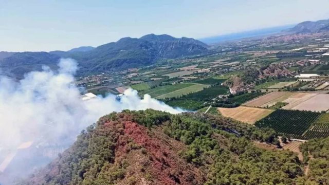 Muğla'nın Ortaca ilçesinde orman yangını çıktı!