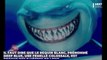 Deep Blue, le plus gros grand requin blanc jamais filmé, un terrifiant monstre des mers (VIDÉO)