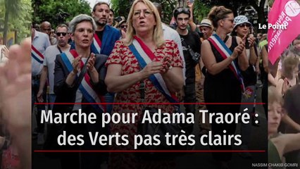 Marche pour Adama Traoré : des Verts pas très clairs